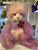 Charlie Bears Annette - CB232301B