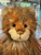 Charlie Bears Bonfire Toffee - CB232306A