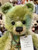 Charlie Bears Fingal - SJ6412B