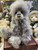 Charlie Bears Olympus - SJ6431B