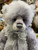 Charlie Bears Olympus - SJ6431B