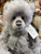 Charlie Bears Olympus - SJ6431B