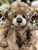 Charlie Bears Camelot - SJ6432A