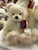 Charlie Bears Little Bean - CB245381W
