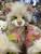 Charlie Bears Miss Johnson - CB252500A