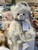 Charlie Bears Norgay - SJ6464