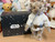 Steiff Star Wars Luke Skywalker  Teddy Bear - 355837