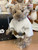 Steiff Star Wars Luke Skywalker  Teddy Bear - 355837
