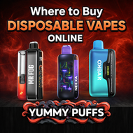 Where to Buy Disposable Vapes Online in the USA (2026 Guide)