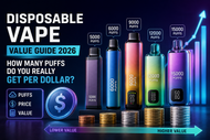 Disposable Vape Value Guide 2026 | Cost per Puff Explained