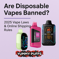 Are Disposable Vapes Banned in 2025? | Yummy Puffs
