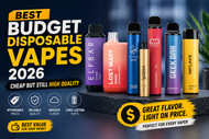 Best Budget Disposable Vapes 2026 Cheap But Still High Quality