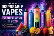 Best Products for Flavor Lovers in 2026 | Ranked & Reviewed