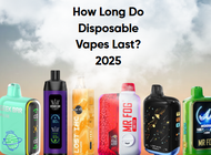 How Long Do Disposable Vapes Last? Real Lifespan of Geek Bar, Raz, and Mr. Fog (2025)