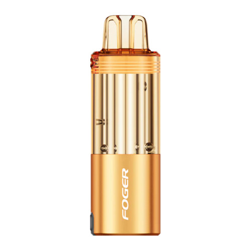 FOGER SWITCH PRO 30,000 PUFFS DISPOSABLE POD - MEXICO MANGO
