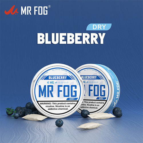 MR FOG NICOTINE POUCHES 4MG 20-PACK - DISPLAY OF 5