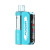 FOGER SWITCH PRO KIT 30,000 PUFFS VAPE - GUM MINT