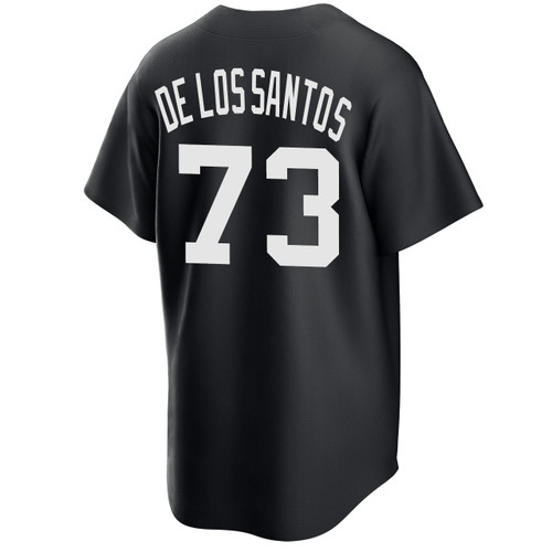Men's New York Yankees NIKE® Yerry De Los Santos Black Jersey at SportsWorldNewYork