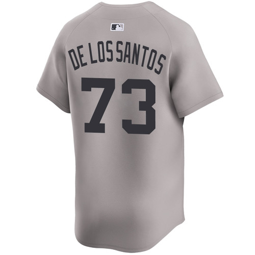 Men's New York Yankees NIKE® Yerry De Los Santos Road Limited Jersey at SportsWorldNewYork
