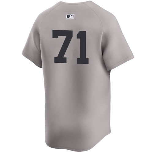Men's New York Yankees NIKE® Ian Hamilton Road Limited Player Jersey at SportsWorldNewYork