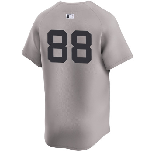 Men's New York Yankees NIKE® Jayvien Sandridge Road Limited Player Jersey at SportsWorldNewYork
