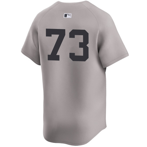 Men's New York Yankees NIKE® Yerry De Los Santos Road Limited Player Jersey at SportsWorldNewYork