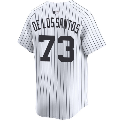 Kids New York Yankees NIKE® Yerry De Los Santos Home Limited Jersey at SportsWorldNewYork