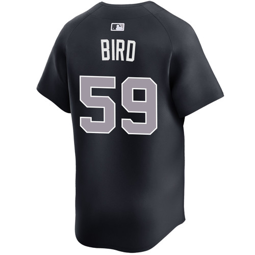 Men's New York Yankees NIKE® Jake Bird Alternate Road Limited Jersey at SportsWorldNewYork