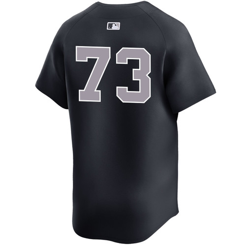 Men's New York Yankees NIKE® Yerry De Los Santos Alternate Road Limited Player Jersey at SportsWorldNewYork