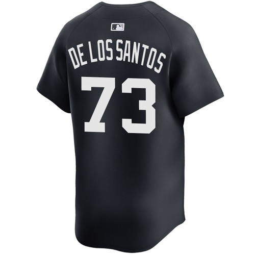 Men's New York Yankees NIKE® Yerry De Los Santos Alternate Limited Jersey at SportsWorldNewYork