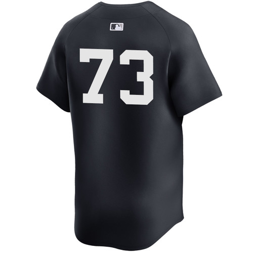 Men's New York Yankees NIKE® Yerry De Los Santos Alternate Limited Player Jersey at SportsWorldNewYork