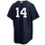 Men's New York Yankees NIKE® Amed Rosario Alternate Navy Player Jersey at SportsWorldNewYork