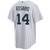 Kids New York Yankees NIKE® Amed Rosario Home Jersey at SportsWorldNewYork