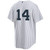 Kids New York Yankees NIKE® Amed Rosario Home Player Jersey at SportsWorldNewYork
