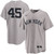 Men's New York Yankees NIKE® Gerrit Cole Road 2.0 Player Jersey at SportsWorldNewYork