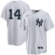 Kids New York Yankees NIKE® Amed Rosario Home Player Jersey at SportsWorldNewYork