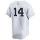 Kids New York Yankees NIKE® Amed Rosario Home Limited Player Jersey at SportsWorldNewYork