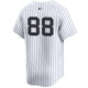 Kids New York Yankees NIKE® Jayvien Sandridge Home Limited Player Jersey at SportsWorldNewYork