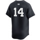Men's New York Yankees NIKE® Amed Rosario Alternate Limited Player Jersey at SportsWorldNewYork