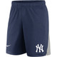 Men's New York Yankees Nike Logo Franchise Performance Shorts