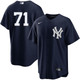 Men's New York Yankees Nike Ian Hamilton Alternate Navy Player Jersey
