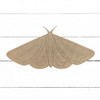 Moth Boho Shape, Bugs & Insects,  Unfinished Craft Shape