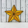 Painted Star