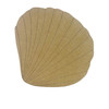 Unfinished Fanned Seashell