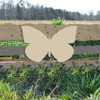 California Dogface Butterfly Unfinished Cutout