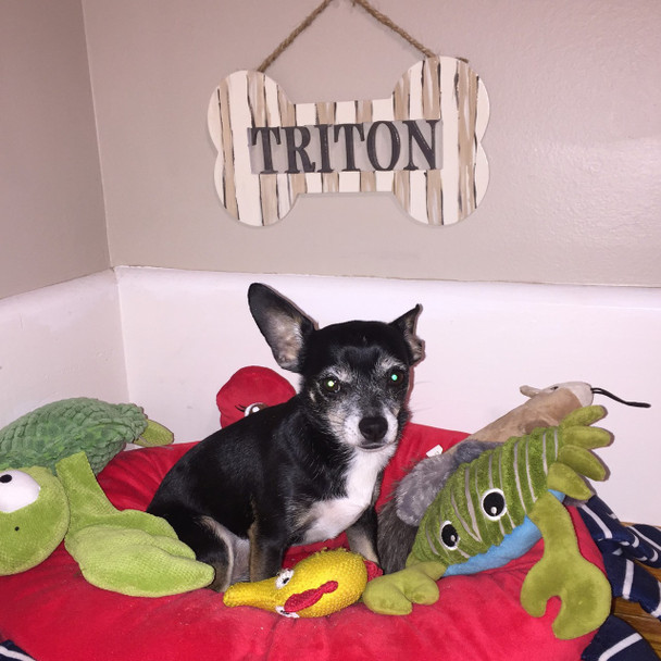 Dog Bone Frame Family Name, Unfinished Framed Monogram