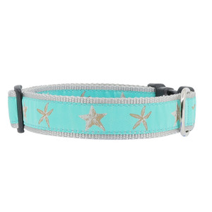 Starfish on Aqua Dog Collar, Starfish, Coastal Dog Collar, Coastal Collar, Beach Dog Collar Starfish on Aqua Dog Collar, Starfish, Coastal Dog Collar, Coastal Collar, Beach Dog Collar