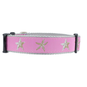 Starfish on Pink Collar Starfish on Pink Collar