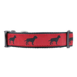 Black Dog on Red Wide Collar
