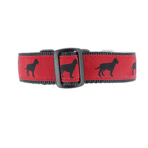 Black Dog on Red Wide Collar